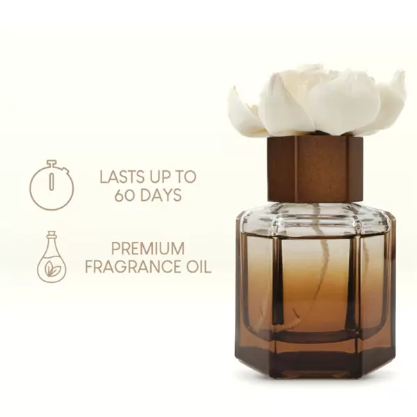 Aromatic Reed Diffuser - 5 Variations - energizing