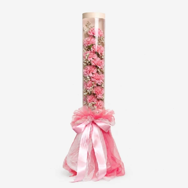 Pink Veil - Standard