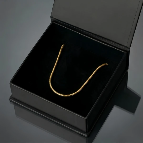 Beaumont Round Gold Chain Necklace - Standard