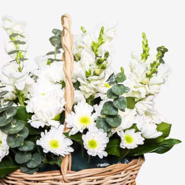 Basket of Chances - Standard