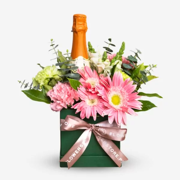 Peach Fizz Garden - Standard