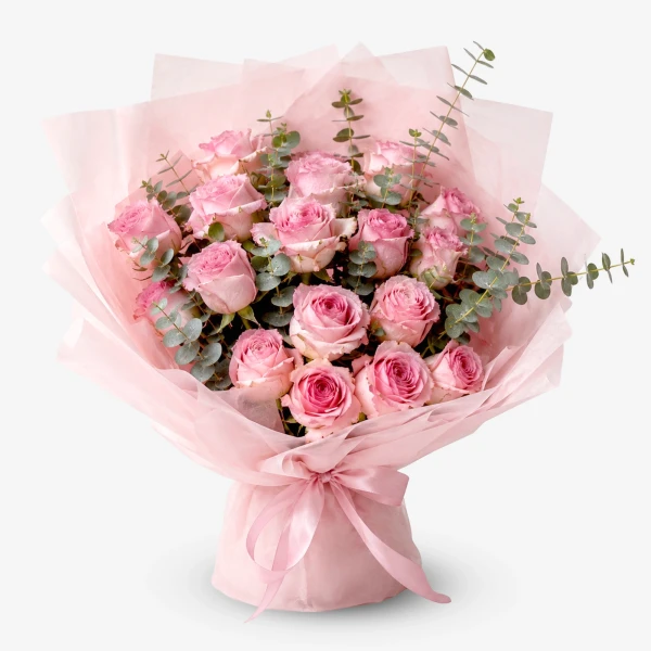 Blushing Pink Rose