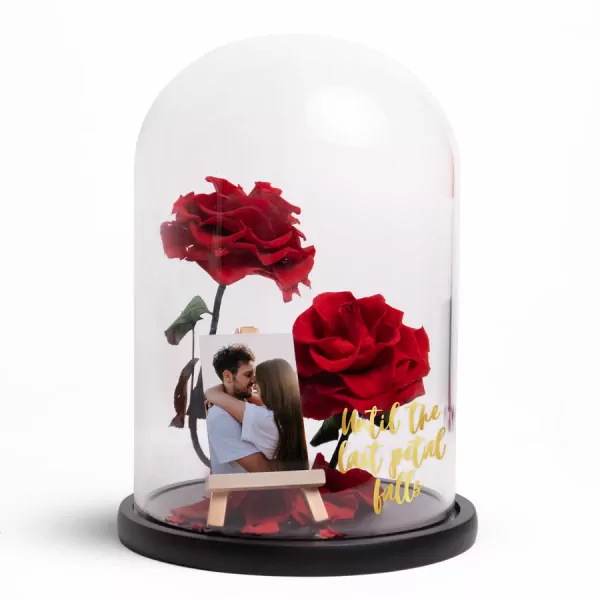 Rose of Timeless Love - Standard