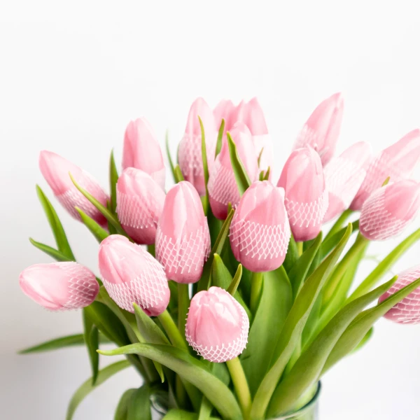 Pink Tulips (20 Stems) - Standard