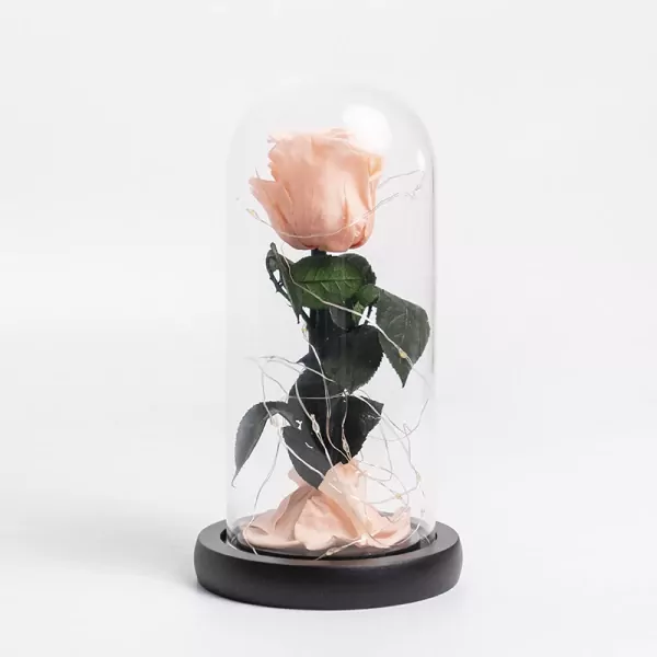 Coral Charm - Default