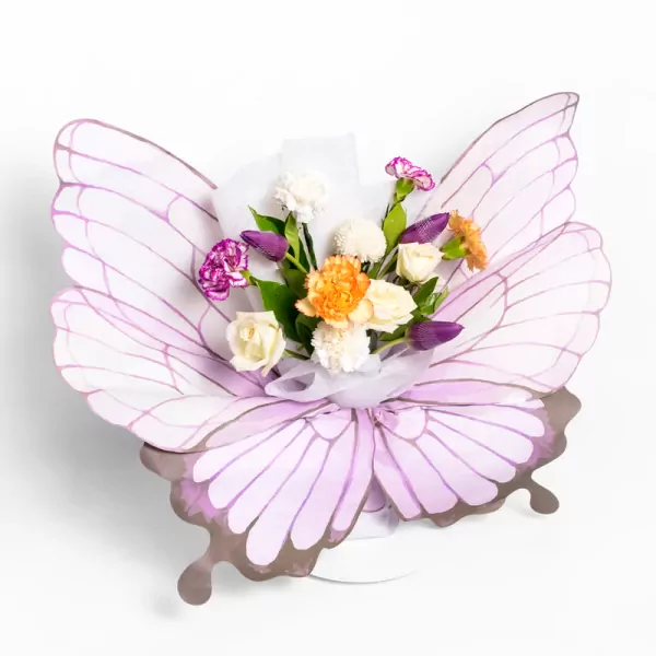 Butterfly Dream - Standard