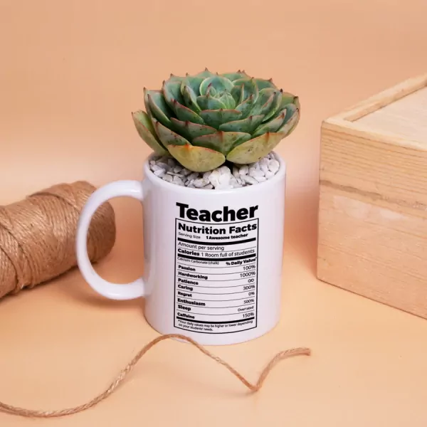 Teacher's Nutrition Facts Mug - With Succulent