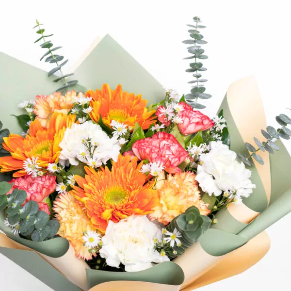 Citrus Grove - Standard