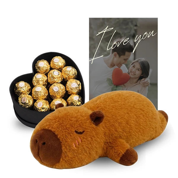 Capybara Plush & Chocolate Gift Set - Standard