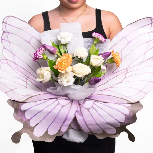 Butterfly Dream - Standard
