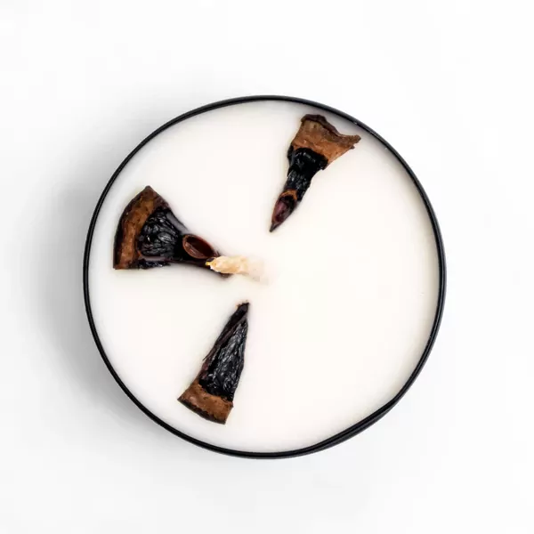 Surprise Message Candle (Happy Birthday) - Standard