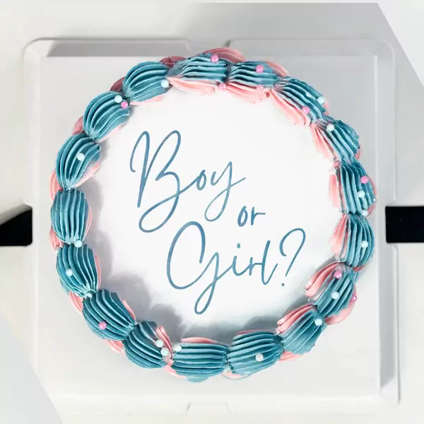 Burn Away Gender Reveal Cake - default