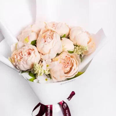 Little Peony. - Standard