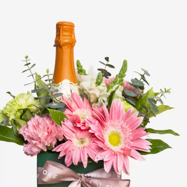Peach Fizz Garden - Standard