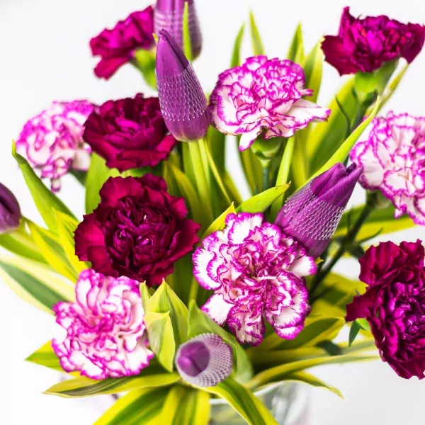 Vidia - Online Gift Delivery - Philippines Online Flowers - FlowerStore ...