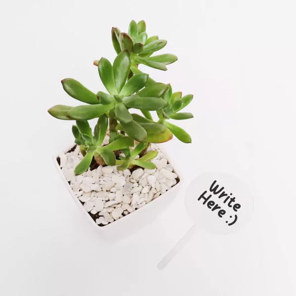 Write & Grow - default