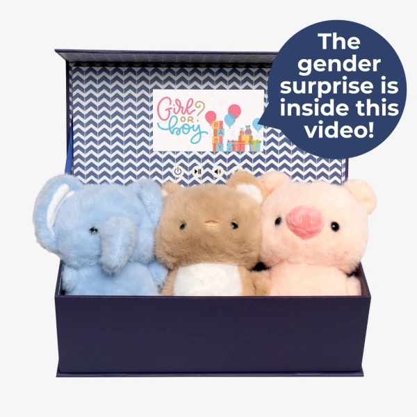 Oh Baby! Reveal Kit - Standard