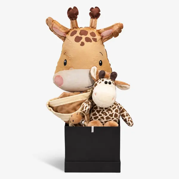 Tall Tales Baby Gift Box 1