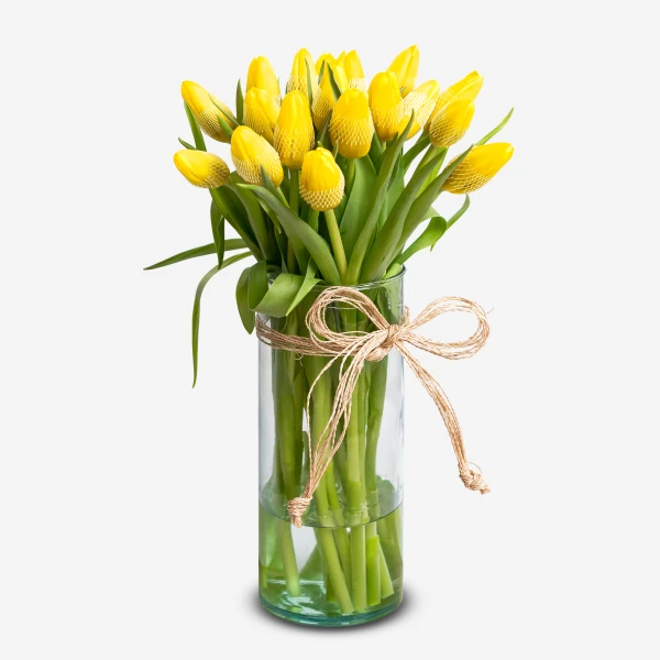 Yellow Tulips (20 Stems) - Standard