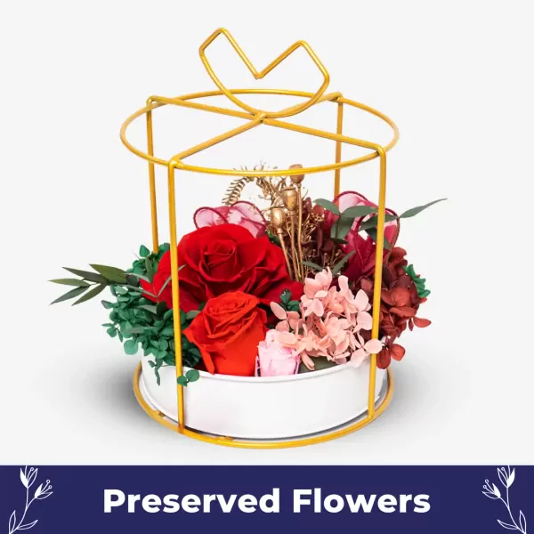 Lustrous Garden - default