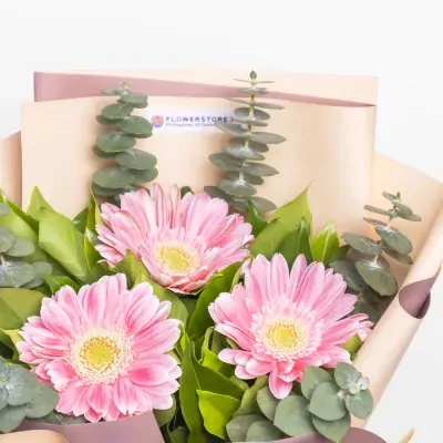 Daisy Love - Standard
