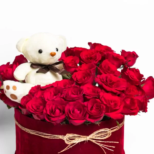 Beary in Love - Standard