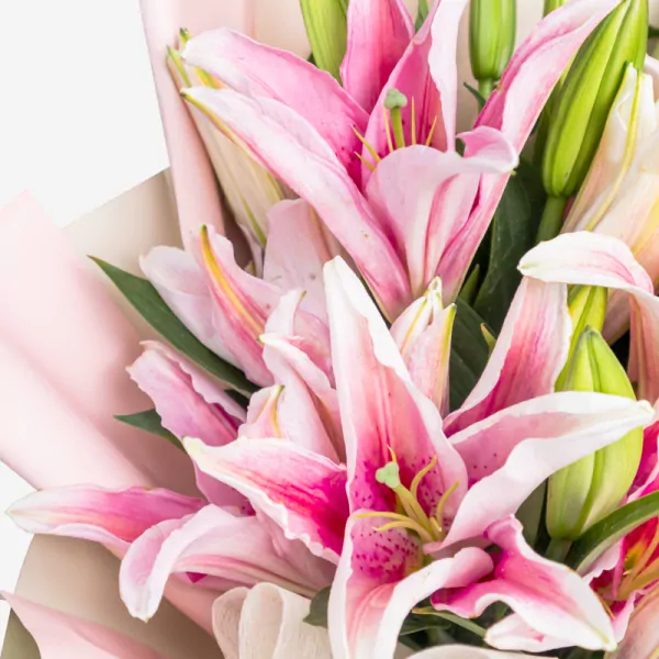Pink and white lilies with green buds in a wrapped floral arrangement