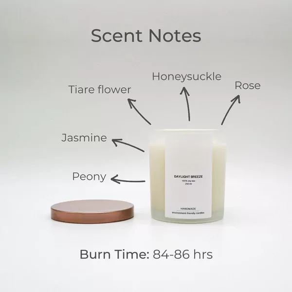 Daylight Breeze Scented Soy Candle - default