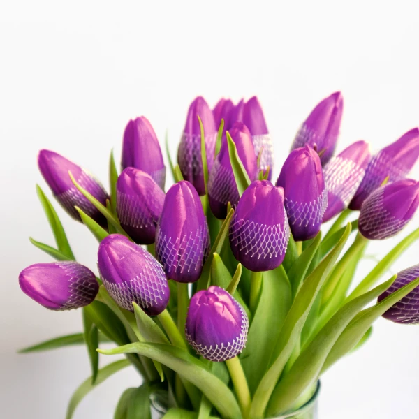 Violet Tulips (20 Stems) - Standard