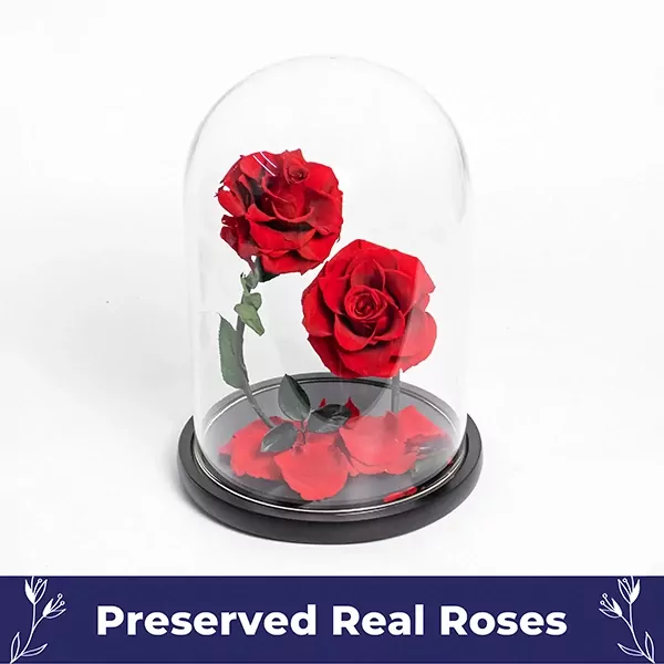 Rose Manor - Default