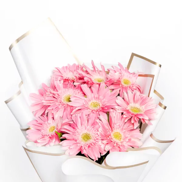 Pink Envy - Standard