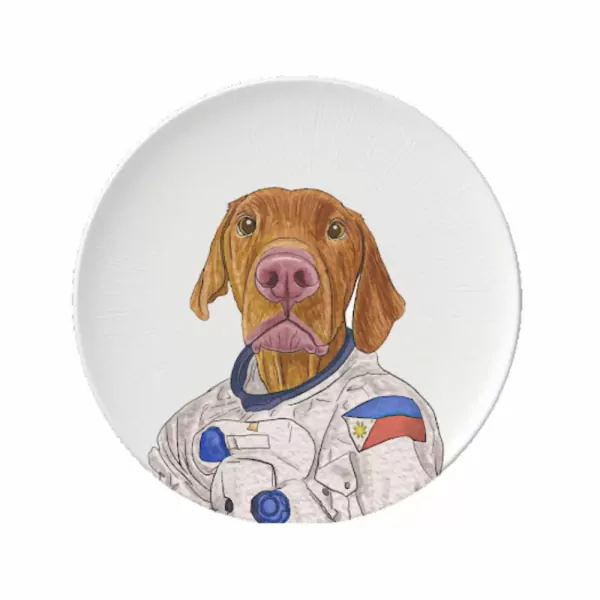Animal Printed Porcelain Plate Set - Standard