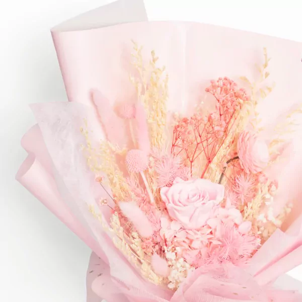 Pink Whisper - Standard