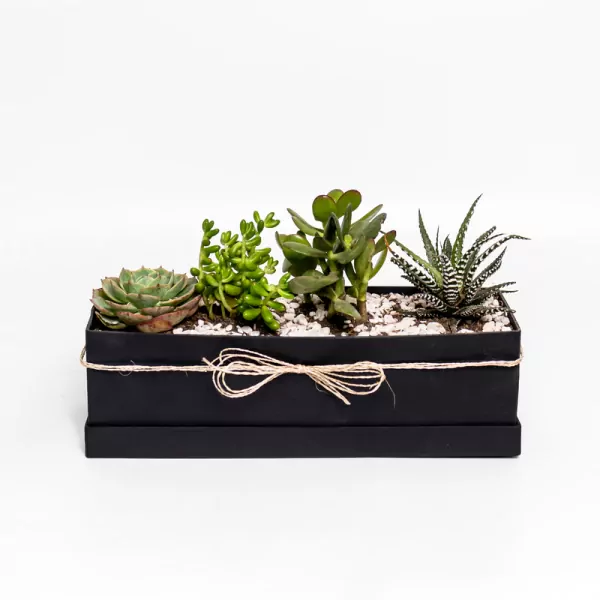 Plant Palette - default