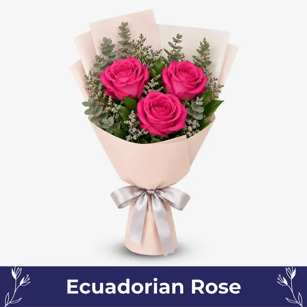 Pink Ecuadorian Love.webp