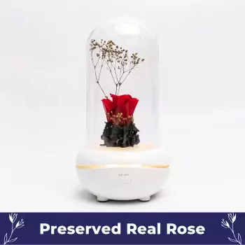 A Rose Diffuser.