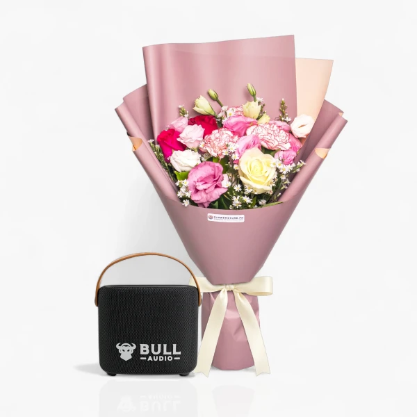 Make Me Blush Bull Audio Retro Bundle - standard