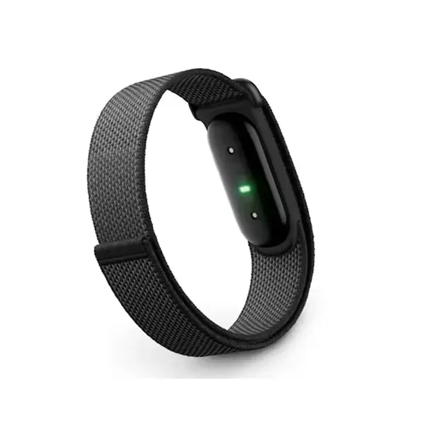 Google Fitbit Air 4