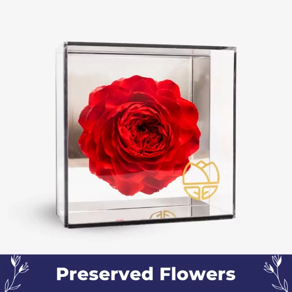 Preserved Peony in Mirror Box - Red