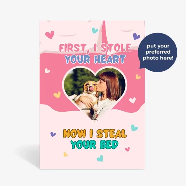 Pawfect FurParent's Bundle - Pink