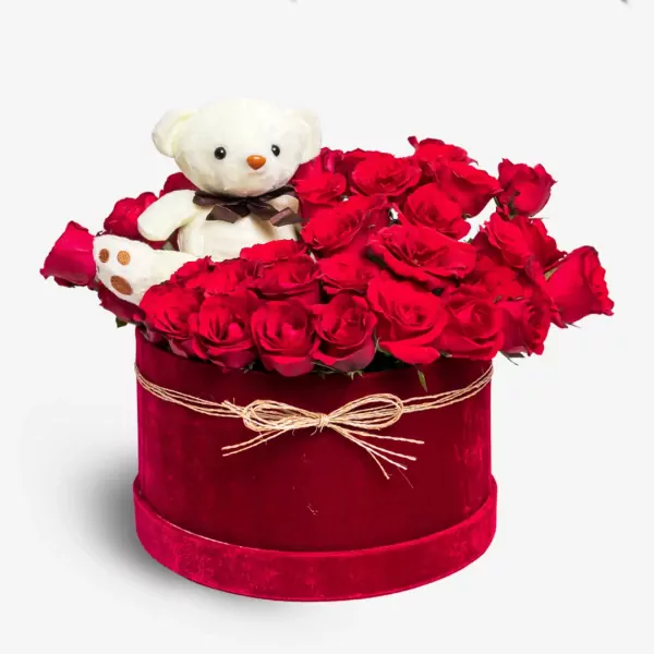 Beary in Love - Standard