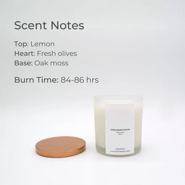 Evergreen Shrub Scented Soy Candle - 250ml