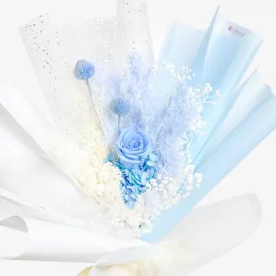 Blue Serenity - Standard.