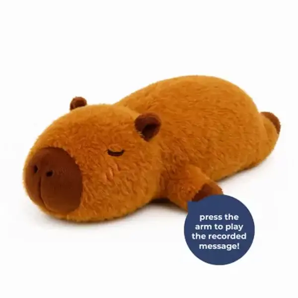 Capybara Plush with Voice Recorder - Standard