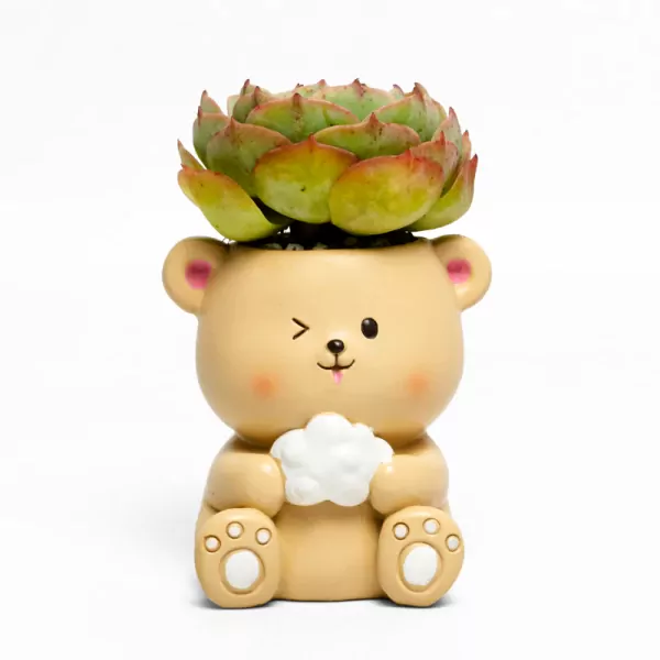 Beary Cute - Default