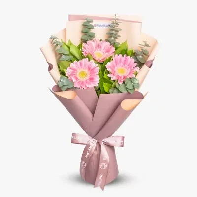Daisy Love - Standard