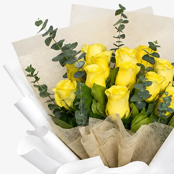 Elegance (12 Premium Roses) 2