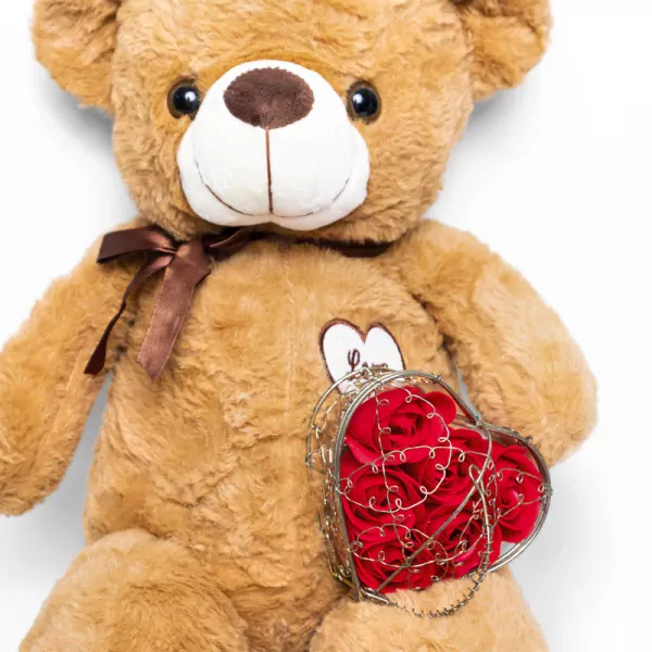 Prosperity Teddy Bundle - Standard