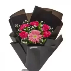 Vibrant pink gerberas and baby's breath arranged in black wrapped bouquet