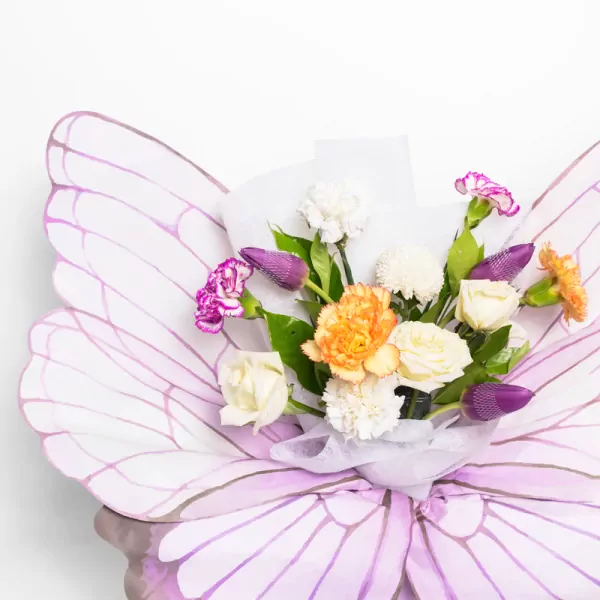 Butterfly Dream - Standard
